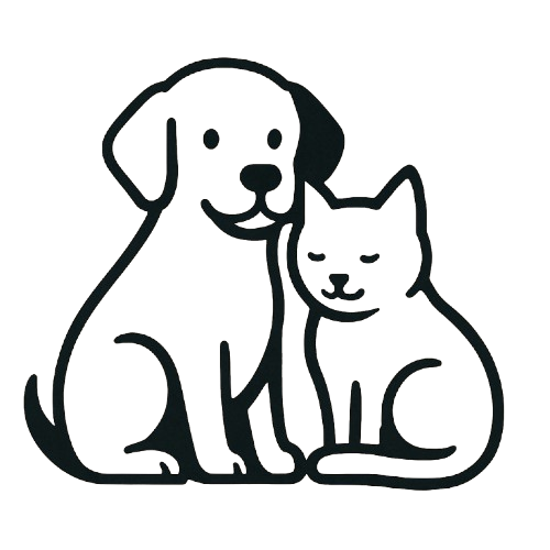 Pets felizes com segurança